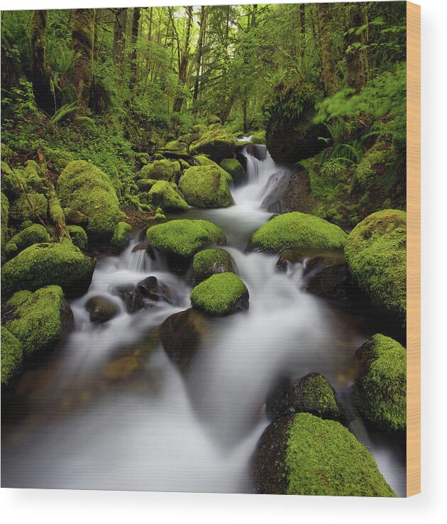 Scenics Wood Print featuring the photograph Oregon Moss by Darren White Photography
