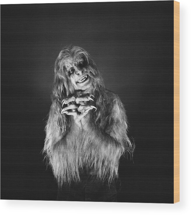 Horizontal Wood Print featuring the photograph Ozzy Pleads by Fin Costello