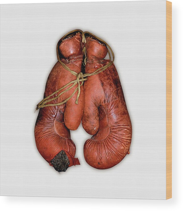 White Background Wood Print featuring the photograph Pair Of Boxing Gloves, Close-up by John Rensten
