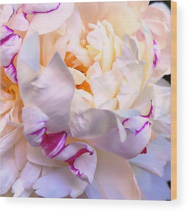 Peony Wood Print featuring the digital art Peony Love 1 by Cindy Greenstein