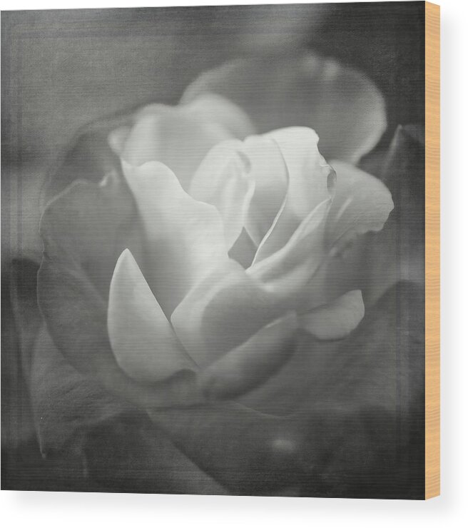 Rose Wood Print featuring the photograph Perfectly Imperfect Monochrome by TL Wilson Photography by Teresa Wilson