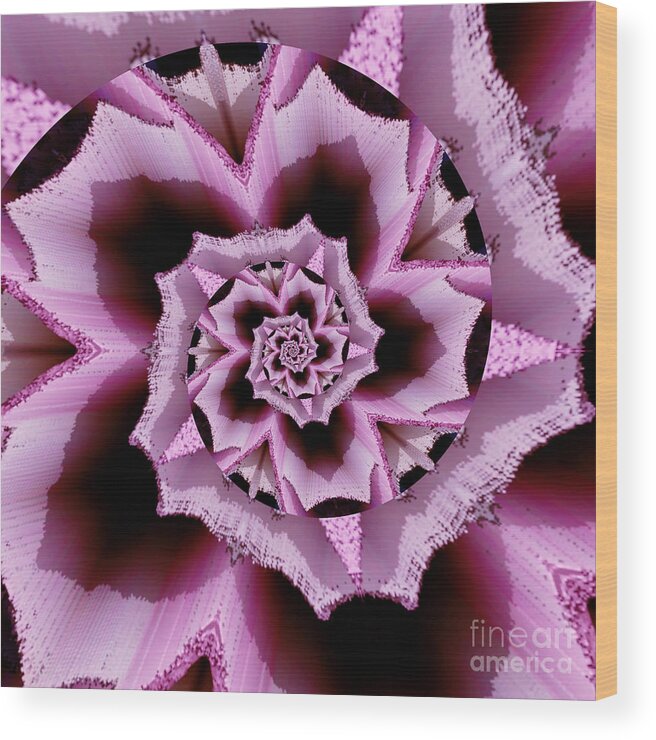 Pink Wood Print featuring the digital art Pink Rose Spiral by Rachel Hannah