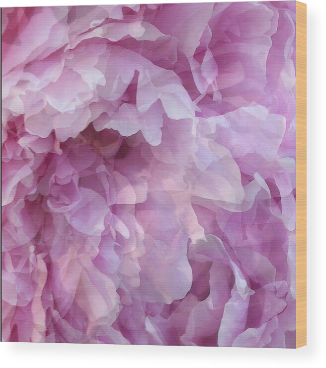 Pink Flower Wood Print featuring the digital art Pinkity by Cindy Greenstein
