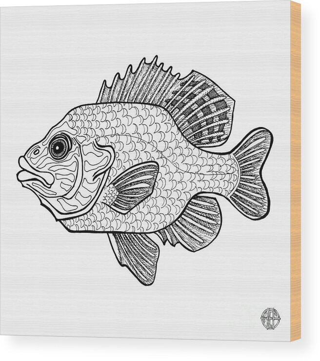Animal Portrait Wood Print featuring the drawing Pumpkinseed Fish by Amy E Fraser