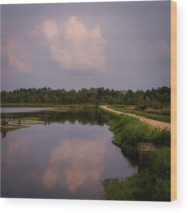 Whitesbog Wood Print featuring the photograph Reflective Path Whitesbog New Jersey by Terry DeLuco