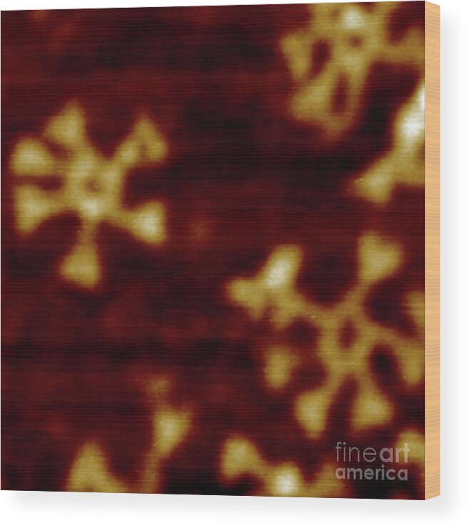 Nanostructure Wood Print featuring the photograph Rna Nanostructures by National Cancer Institute/university Of Kentucky/science Photo Library