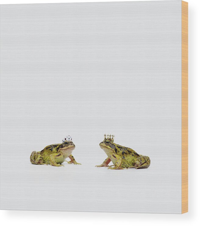 Crown Wood Print featuring the photograph Royal Frogs by Maarten Wouters