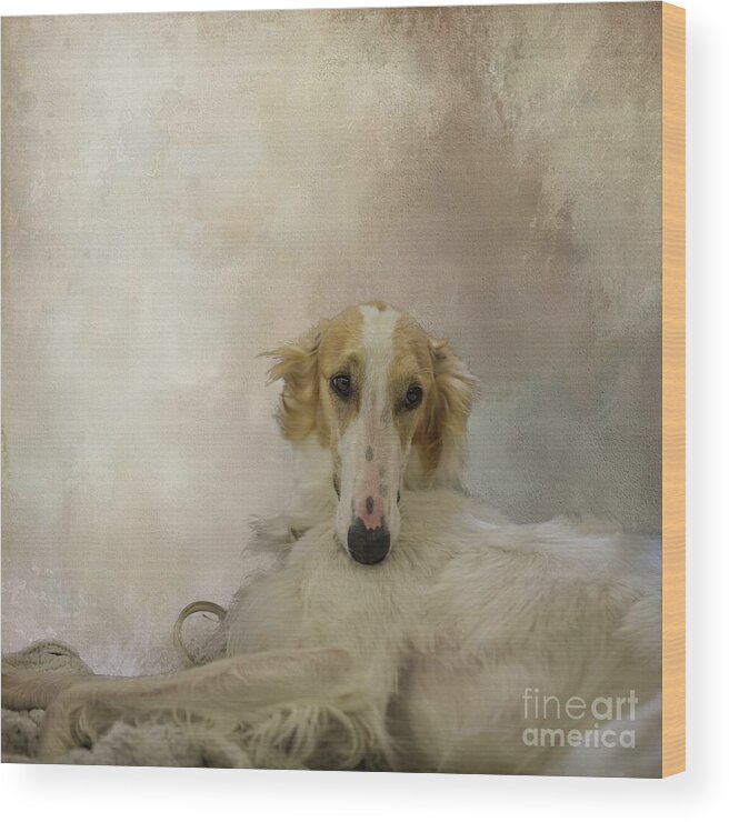 Borzoi Wood Print featuring the photograph Russian Wolfhound Portrait by Eva Lechner