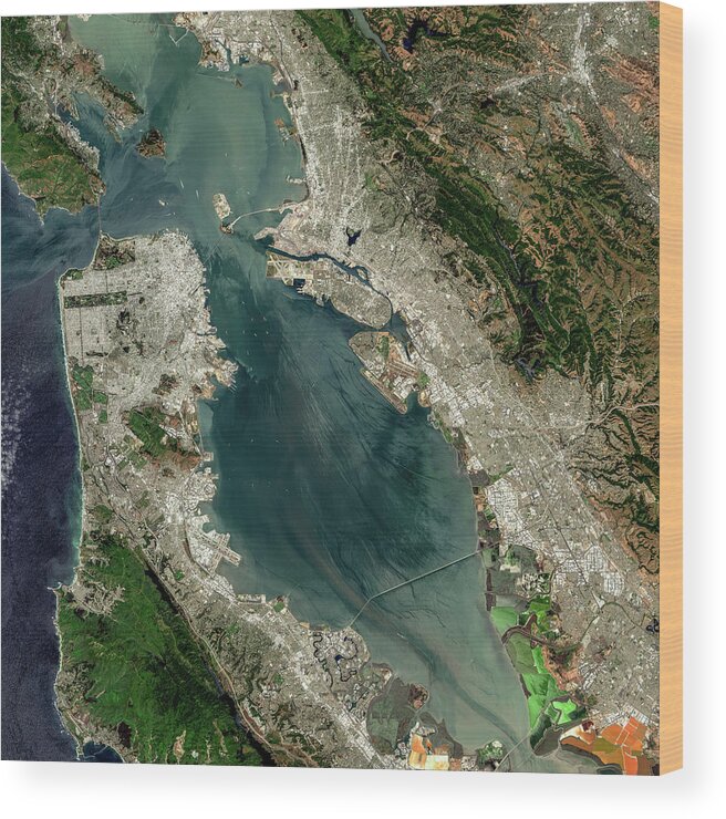 Satellite Image Wood Print featuring the digital art San Francisco Bay from space by Christian Pauschert