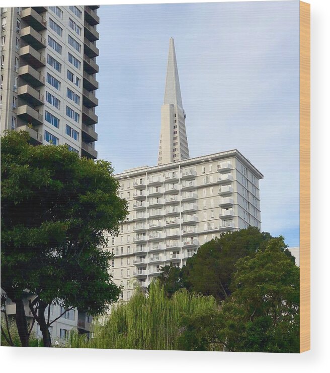 Transamerica Wood Print featuring the photograph San Francisco Pyramid by Dan Twomey