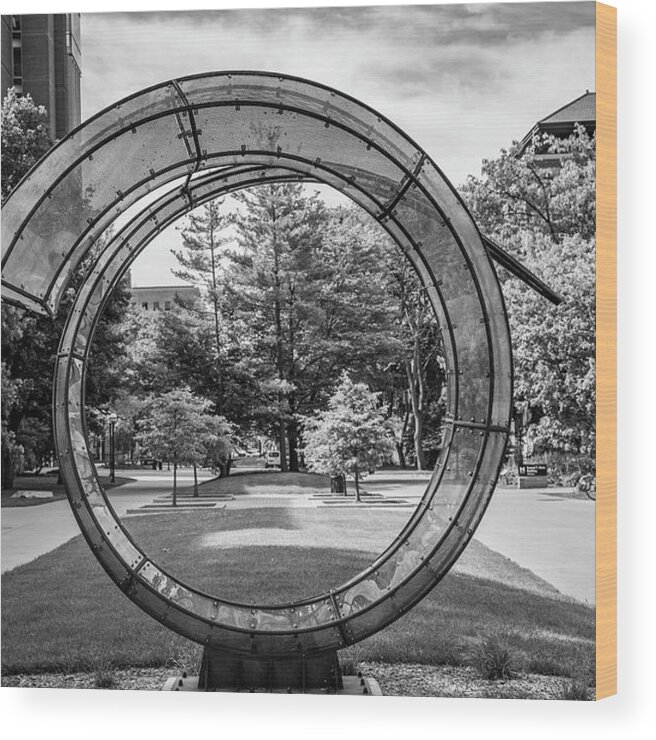 . Big Ten Campus Wood Print featuring the photograph Sculture at University of Michigan by John McGraw