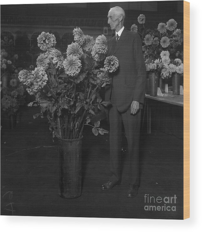 People Wood Print featuring the photograph Senior Man Looking At Flowers by Bettmann