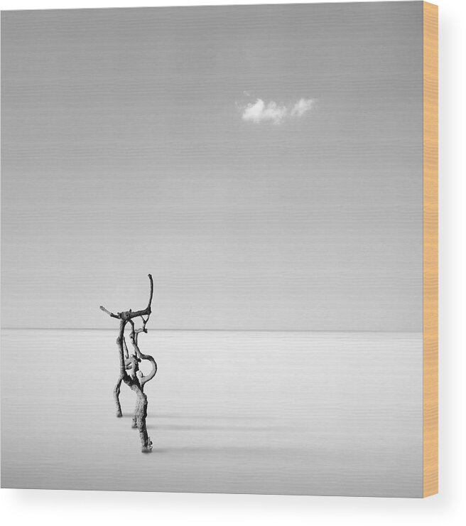 Simple Wood Print featuring the photograph Silver Serenity by George Digalakis