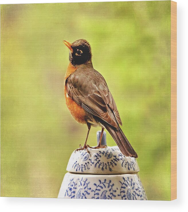 Robin Wood Print featuring the photograph Singing for Cookies by Peggy Collins