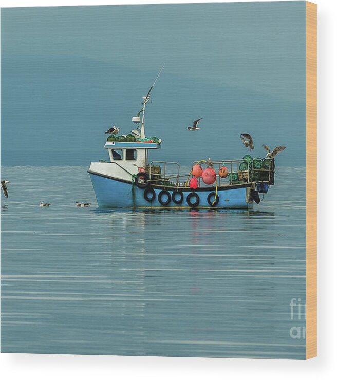Animal Wood Print featuring the photograph Small Fishing Boat With Lobster Pods And Seagulls On Calm Atlantic In Front Of The Hebride Islands by Andreas Berthold