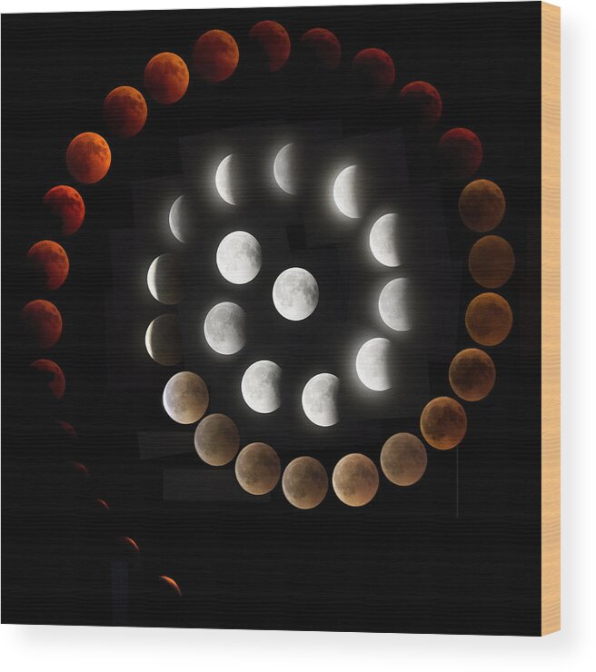 Moon Wood Print featuring the photograph Snail Eclipse by Art Lionse