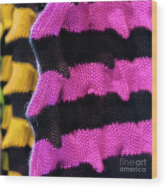 Stripe Wood Print featuring the photograph Stripes by Lenore Locken