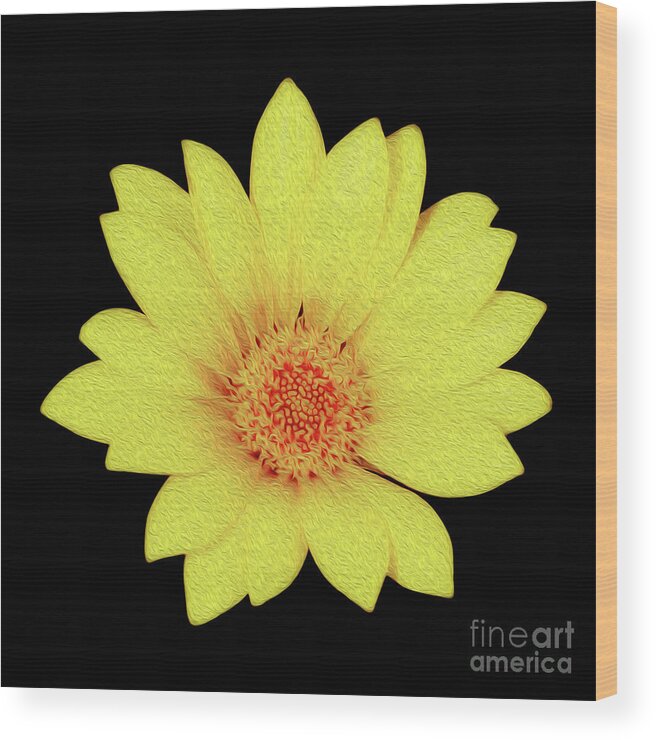 Floral Wood Print featuring the digital art Sun Flower by Kenneth Montgomery