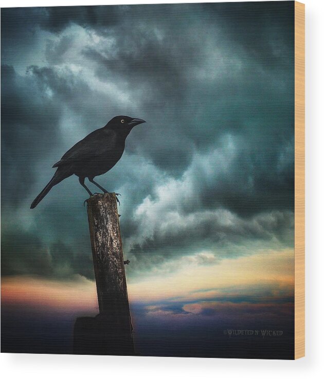 Crow Wood Print featuring the photograph Sunrise by Brenda Wilcox aka Wildeyed n Wicked