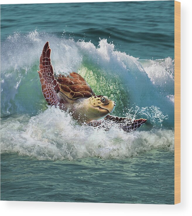 Sea Turtle Wood Print featuring the digital art Surf To The Turf by Jerry LoFaro