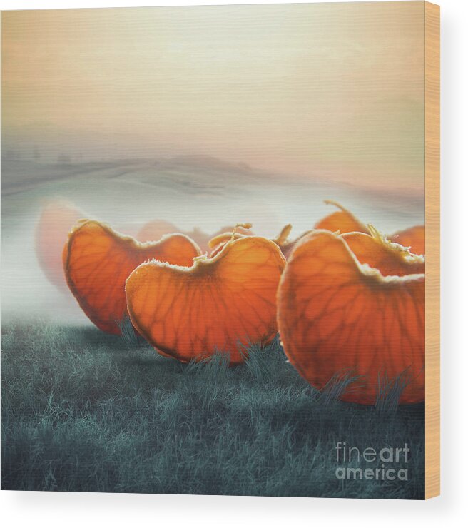Giant Wood Print featuring the photograph Surreal Giant Tangerine Segments by Vizerskaya