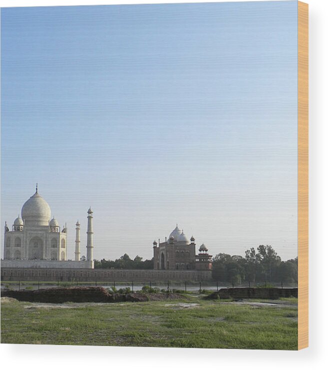Grass Wood Print featuring the photograph Taj Mahal by Raja Singh - Bling Photography