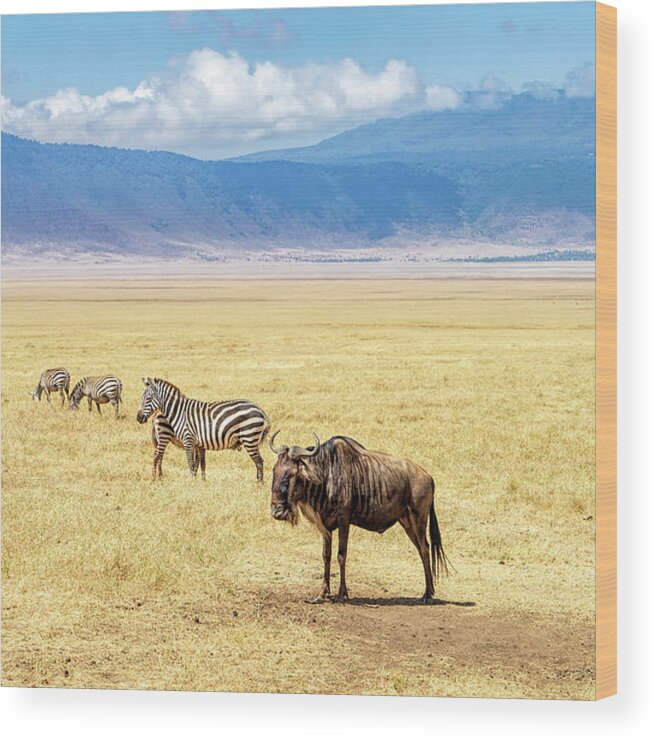 Africa Wood Print featuring the photograph Tarangire Landscape by Betty Eich