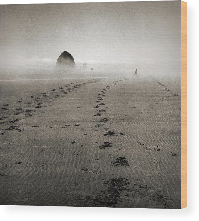 Tranquility Wood Print featuring the photograph The Ocean Fog At Cannon Beach by Danielle D. Hughson