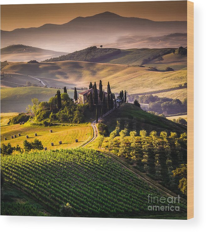 Country Wood Print featuring the photograph Tuscany Italy - Landscape by Ronnybas Frimages