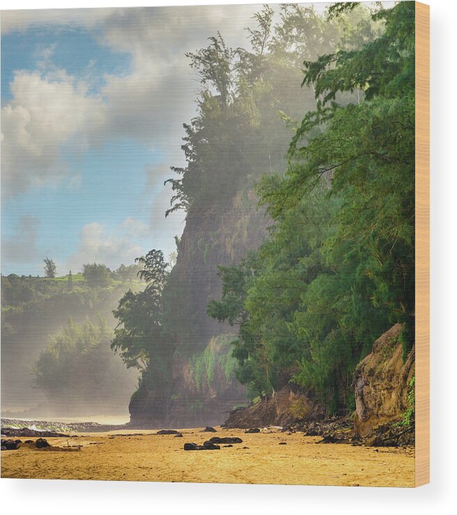 Secret Beach Wood Print featuring the photograph Walk Into Wilderness by Slow Fuse Photography