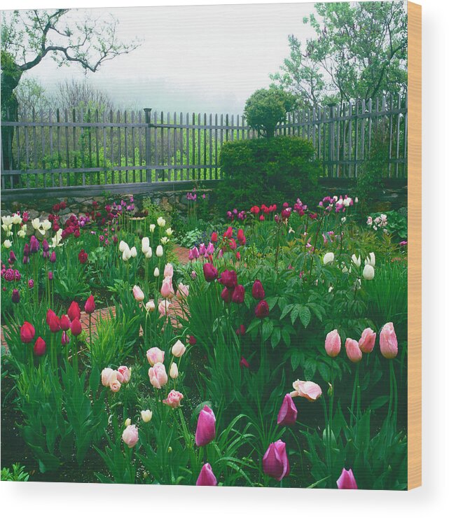 Scenics Wood Print featuring the photograph Walled Garden On Atlantic Ocean by Richard Felber