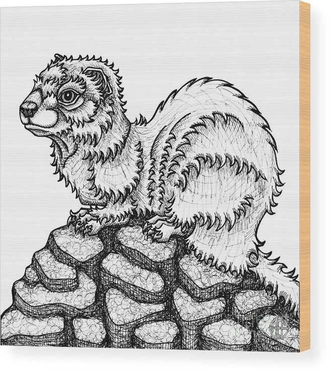 Animal Portrait Wood Print featuring the drawing Weasel by Amy E Fraser