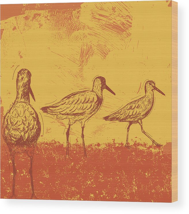 Funky Wood Print featuring the digital art Willets At Sunset by Retrorocket