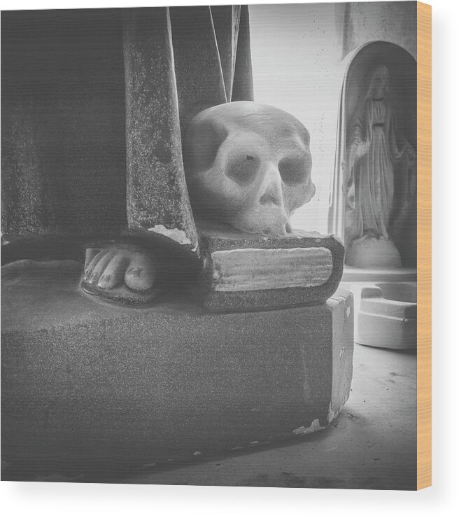 New Mexico Wood Print featuring the photograph Wisdom and Human Mortality by Mary Lee Dereske