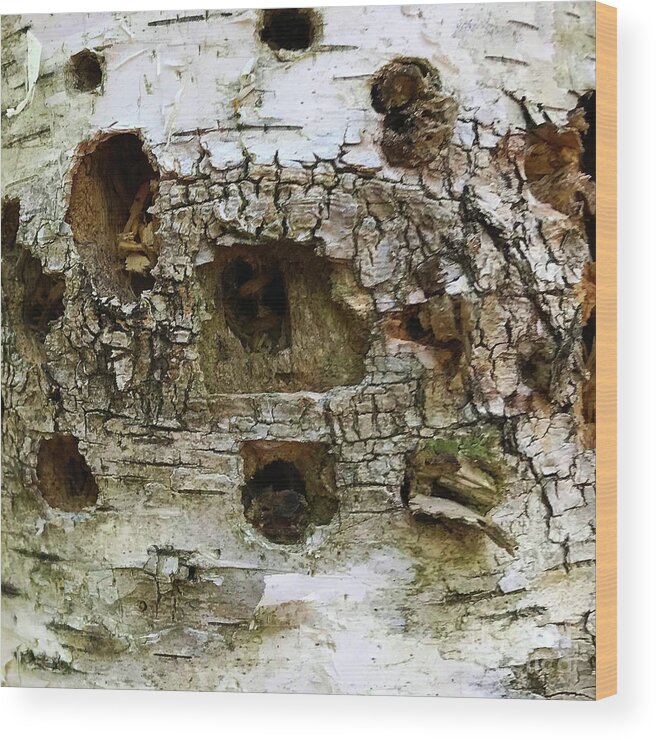 Photography Wood Print featuring the photograph Woodland 19 by Amy E Fraser