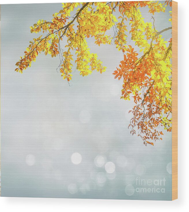 Autumn Wood Print featuring the photograph Yellow and Blue Fall by Anastasy Yarmolovich