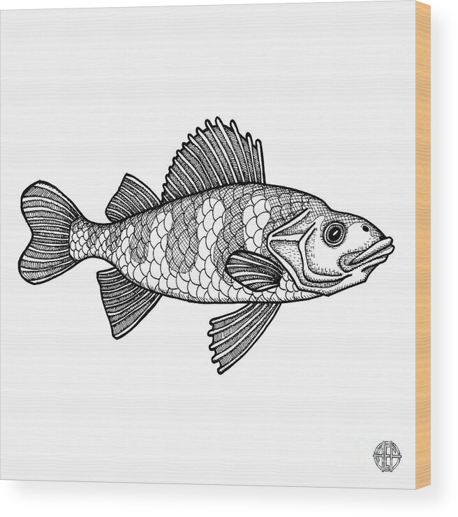 Animal Portrait Wood Print featuring the drawing Yellow Perch by Amy E Fraser