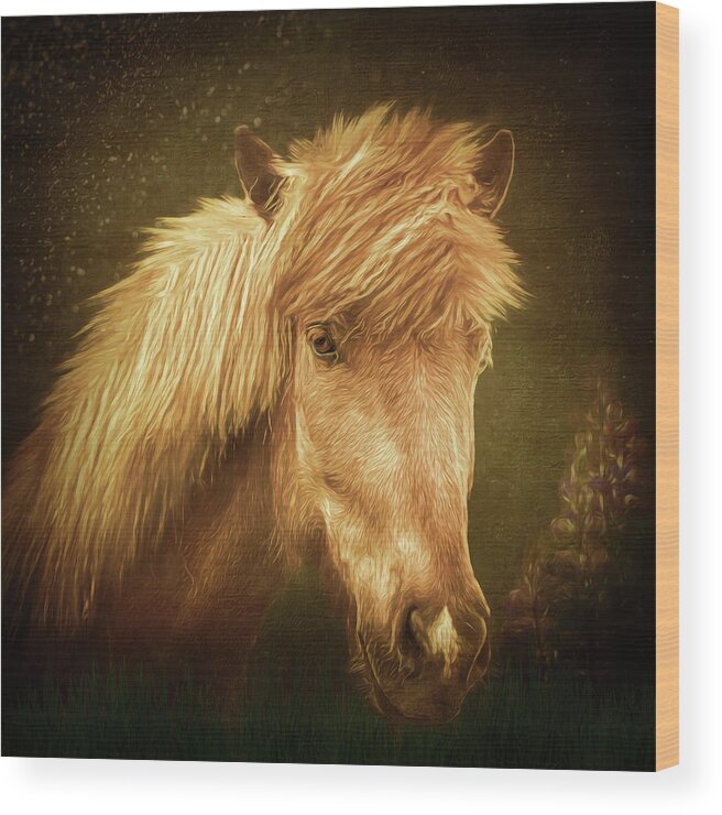 Iceland Horse Wood Print featuring the digital art Icelandic Horse #1 by Maggy Pease