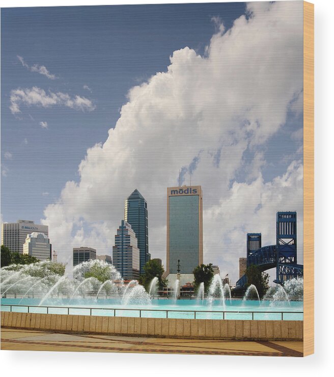 Jacksonville Florida Wood Print featuring the photograph Jacksonville Florida by Bob Pardue