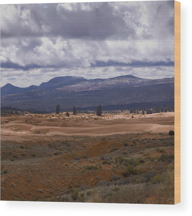 Thunderstorm Wood Print featuring the photograph Clouds over a desert #2 by Fotosearch