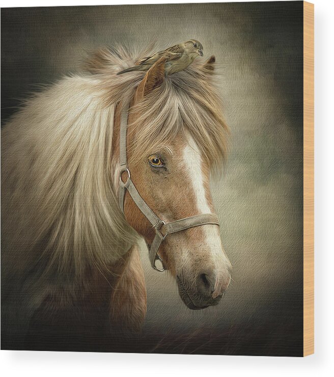 Icelandic Horse Wood Print featuring the digital art A Place to Hide by Maggy Pease