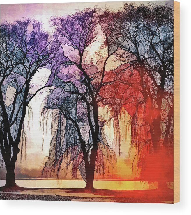 A Song Of Trees Wood Print featuring the photograph A Song of Trees by Susan Maxwell Schmidt