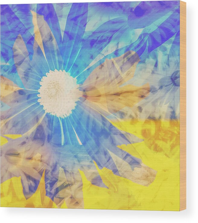 Daisy Wood Print featuring the digital art Abstract Daisy by Kathy Paynter