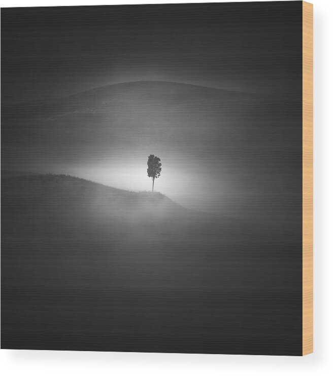 Tree Wood Print featuring the photograph Alone in the Fog by Stefano Orazzini