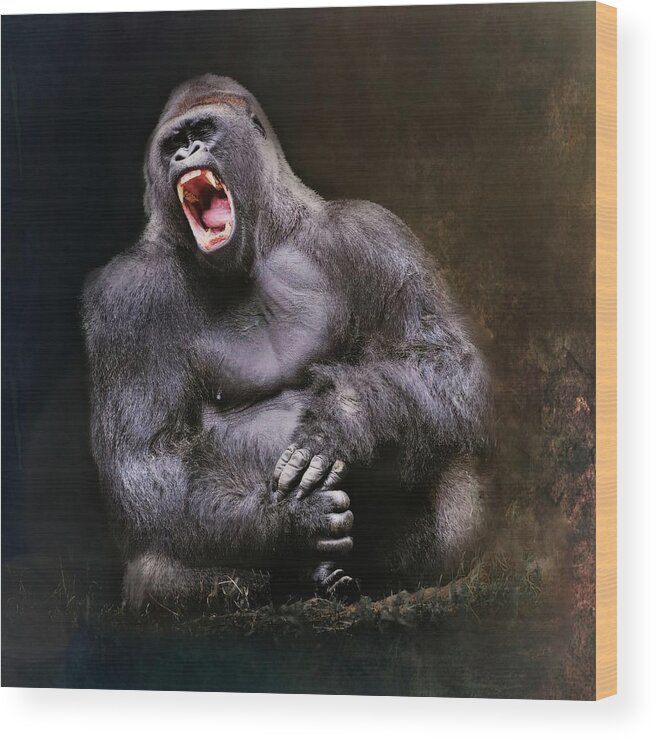 Gorilla Wood Print featuring the photograph Angry Male Gorilla by Marjorie Whitley