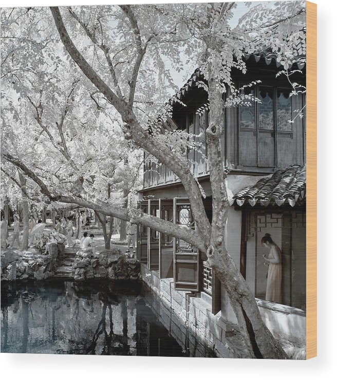 Asia Wood Print featuring the photograph Another Look Asia China - In the shade of the tree by Philippe HUGONNARD