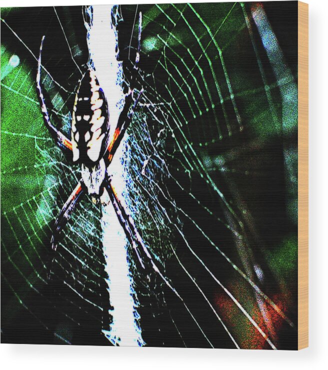 Spider Wood Print featuring the photograph Arachnophobia by Simone Hester