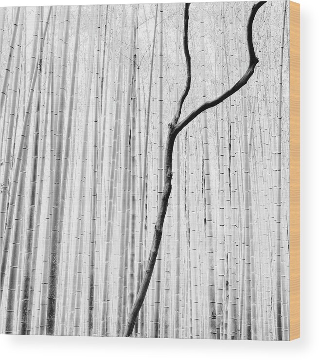 Bamboo Wood Print featuring the photograph Arashiyama Bamboo Forest. Kyoto, Japan by Stefano Orazzini