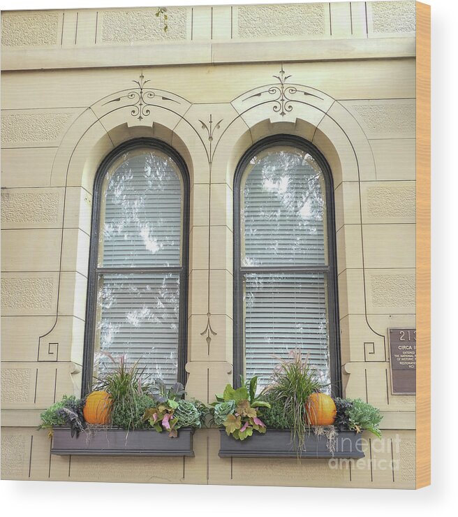Windows Wood Print featuring the photograph Autumn Window Boxes by Bentley Davis