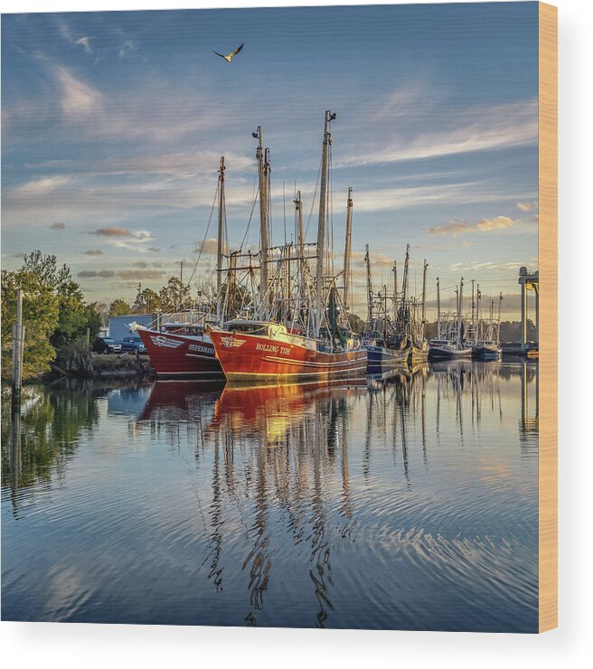 Bayou Wood Print featuring the photograph Bayou Morning 2, 12/23/20 by Brad Boland